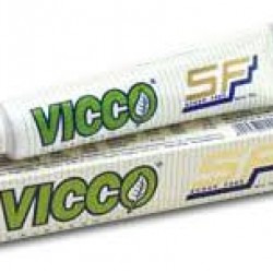 Vicco Paste Suger Free 100 gm