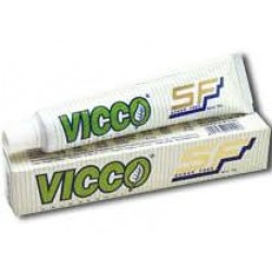 Vicco Paste Suger Free 100 gm