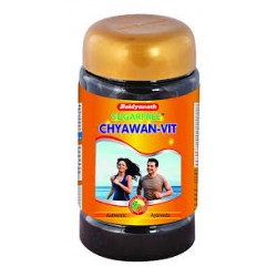 Baidyanath Chyawanprash Sugar Free 500 gm