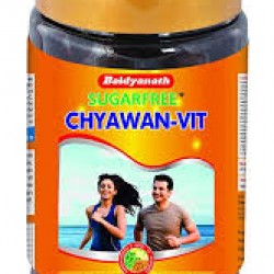 Baidyanath Chyawanprash Sugar Free 500 gm