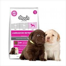 Drools Breed Health Nutrition Labrador Puppy 12 kg