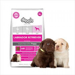 Drools Breed Health Nutrition Labrador Puppy 4 kg