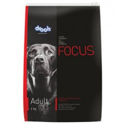 Drools Focus Super premium Adult 4 kg