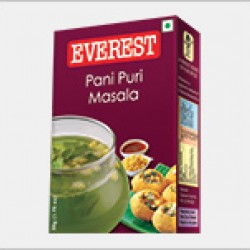 Everest Pani-Puri Masala 50 g