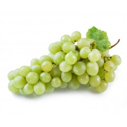 Grapes Green