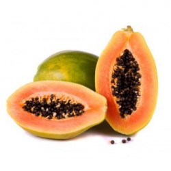 Papaya