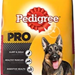 Pedigree Adult Active Adult Dog 10kg 