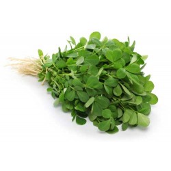 Fenugreek Leaves Metthi