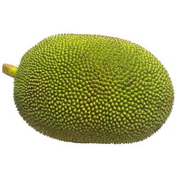 Jackfruit Kathal