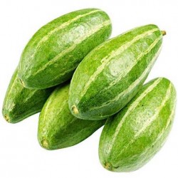 Pointed Gourd Parval