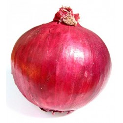 Red onion