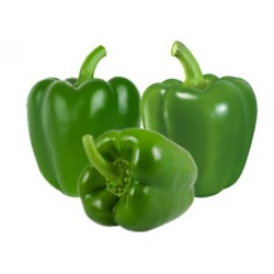 Capsicum Shimlamirch